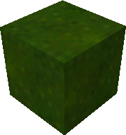 "A picture of Leaves"