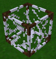 "A picture of Glass Case"