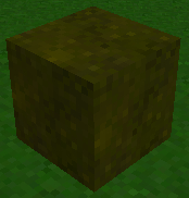 "A picture of Loose Leaves"