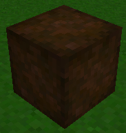 "A picture of Loose Humus"