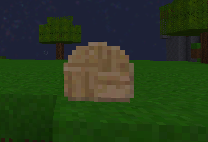 File:Wooden Spade Head Screenshot.png