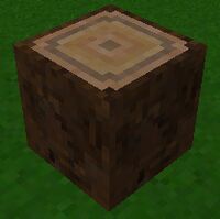 "A picture of Stump"