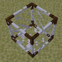 "A picture of Clear Glass Case"